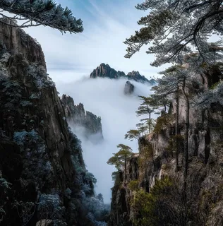 迎客松 仙境 云山雾海 云雾 天空 空中
