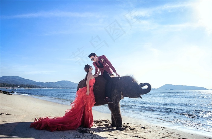 坐在大象背上的帅哥与美女