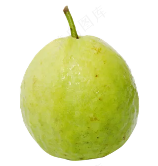 番石榴免抠素材 (42)