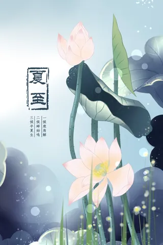 荷叶荷花夏至插画墨绿色夏至海报