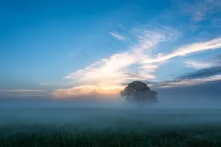 黄昏下的山林景色