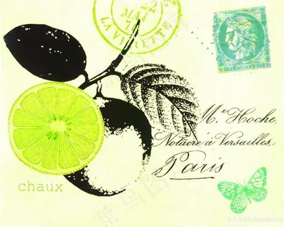 柠檬水果艺术插画 柠檬水果艺术插画