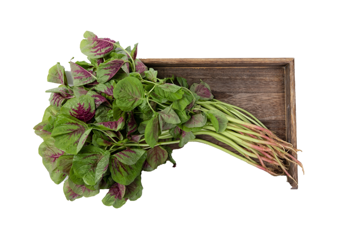 红苋菜超市商品白底图免抠实物摄影png格式图片透明底