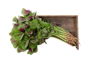 红苋菜超市商品白底图免抠实物摄影png格式图片透明底