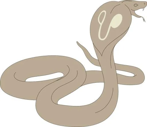 眼镜蛇 PNG免抠(834x720)