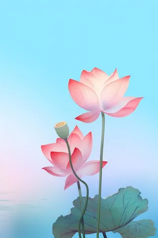 简约清新淡粉色荷花背景