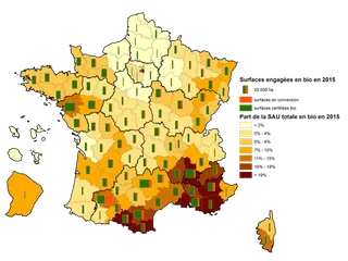 印度种植现代农业