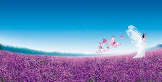 花海风景图片下载