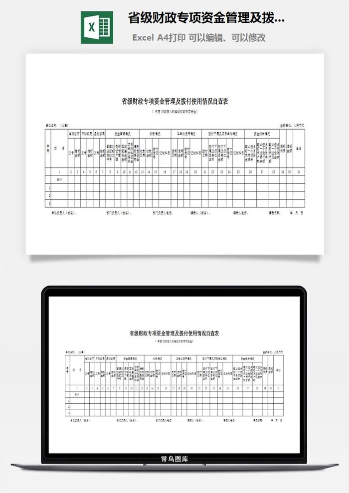 省级财政专项资金管理及拨付使用情况自查表excel模板