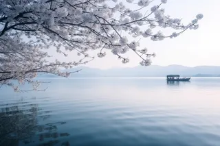 湖水很平静，上面有树枝和花朵，还有一艘船插画背景