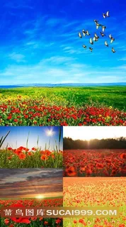 唯美田园风光高清图片素材