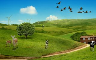 韩式自然背景 (89)