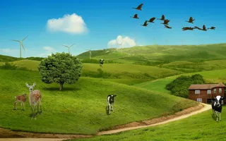 韩式自然背景 (89)