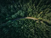 热带丛林的公路河流