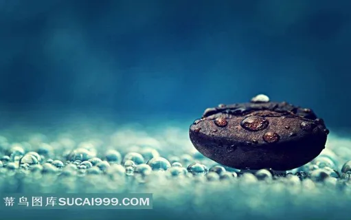 清新的雨后水滴 清新的雨后水滴