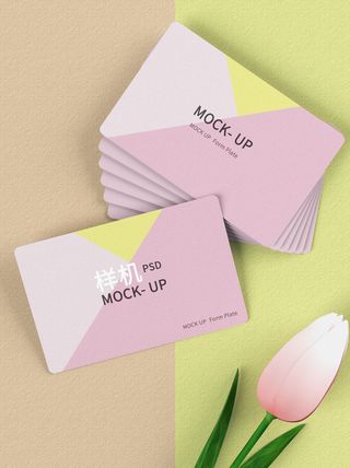 高端大气商务名片样机