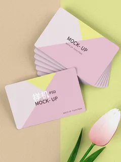 高端大气商务名片样机 高端大气商务名片样机