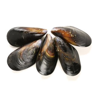 螺贝类带壳类(64)海鲜超市商品红酒白底图免抠实物摄影png格式图片透明底