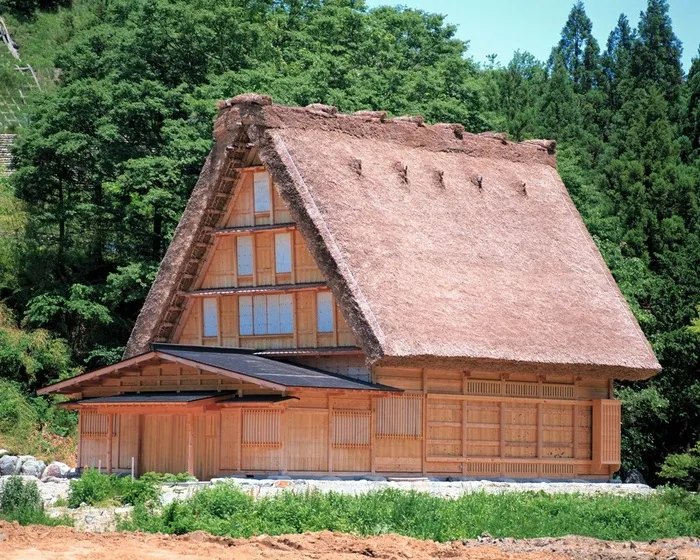 树林前的小屋