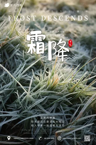 草地 结霜 简约风 霜降海报