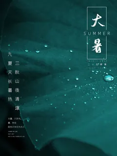 传统节气大暑海报