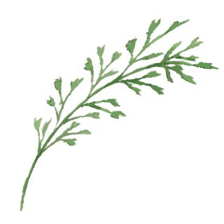 唯美森系手绘水彩花朵 免抠