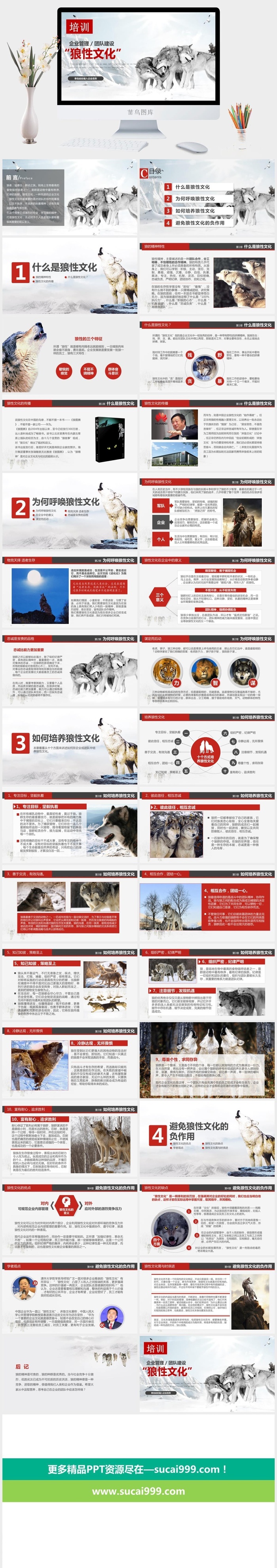 企业文化狼性精神培训PPT模板