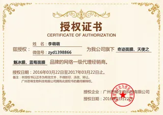 公司企业网络电子模板代理授权资质证书PSD制作设计源文件