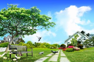 韩式自然背景 (120)