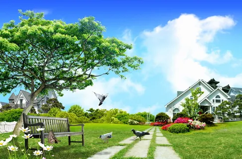 韩式自然背景 (120) 韩式自然背景 (120)