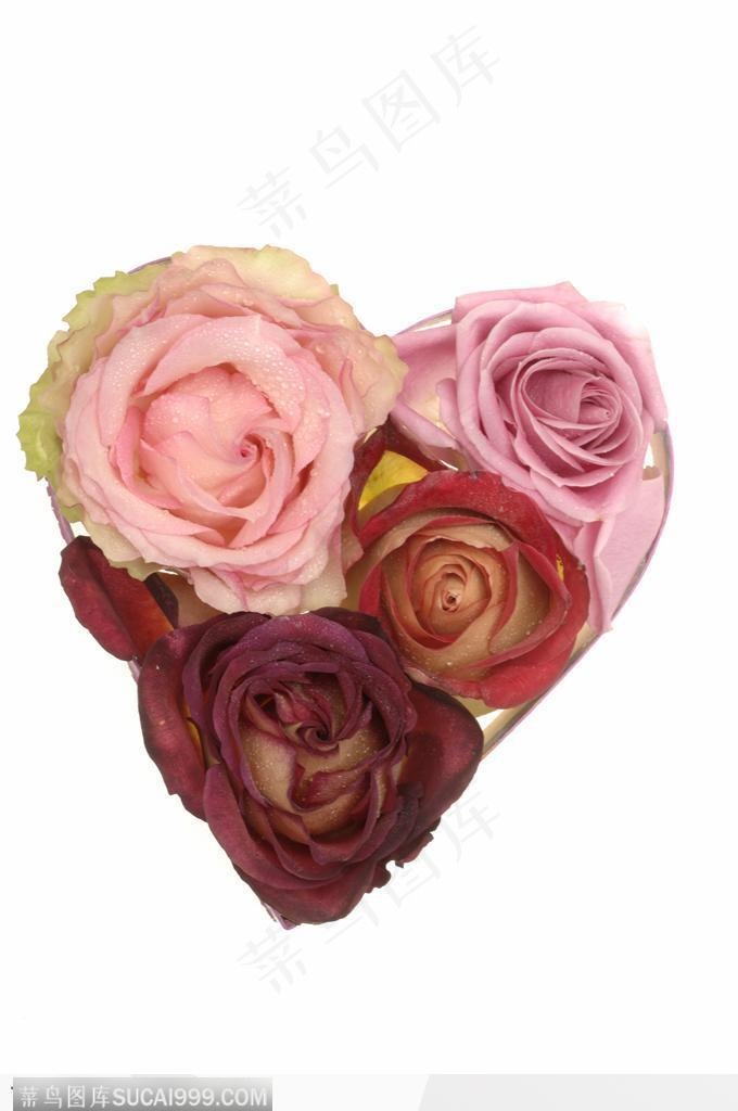 情人节物语-漂亮的心形玫瑰