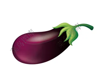 茄子矢量图2