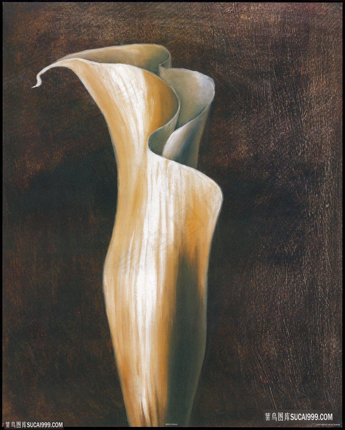 高清马蒂莲艺术插画