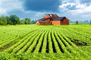 玉米庄稼地与农舍