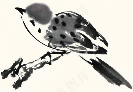 鸟禽绘画素材