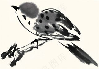 鸟禽绘画素材