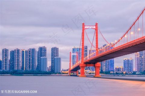 华灯初上的武汉鹦鹉洲长江大桥