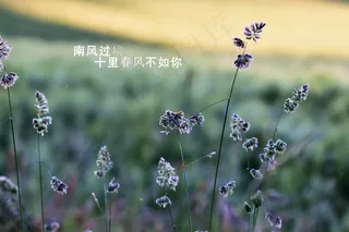 暖心留言短句15字以内