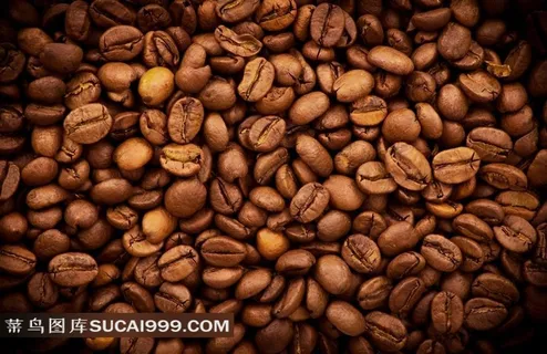 高清咖啡豆图片素材 高清咖啡豆图片素材