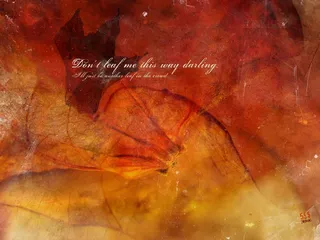 图片素材背景光影艺术