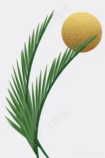 植物时尚绿叶插画 植物时尚绿叶插画