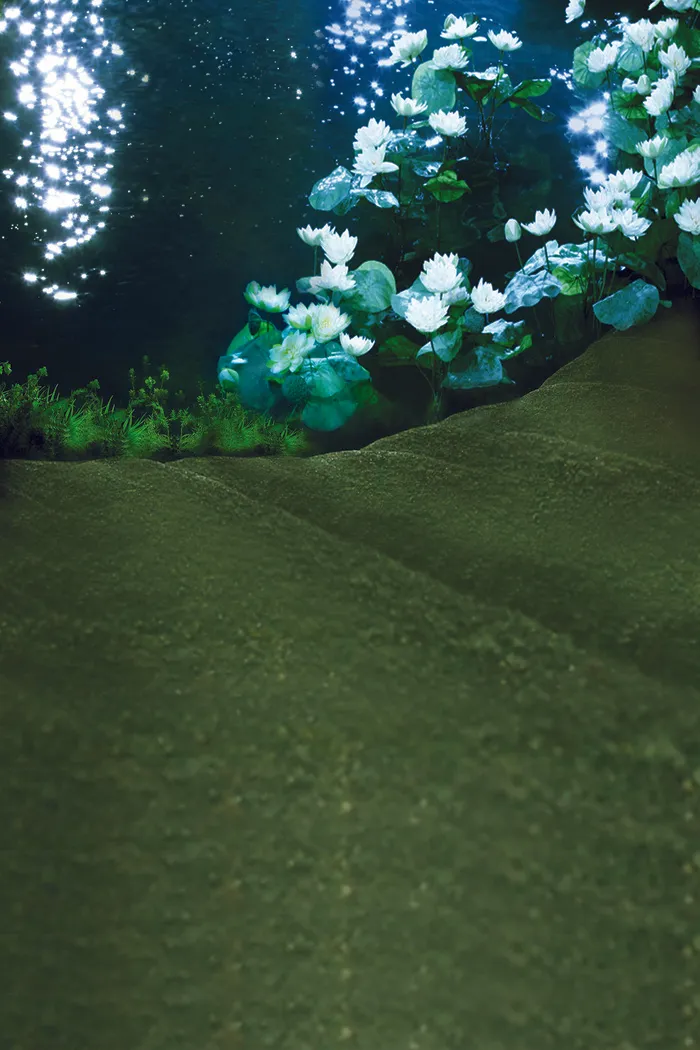 摄影唯美背景
