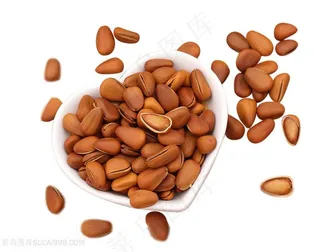 美味松子坚果图片