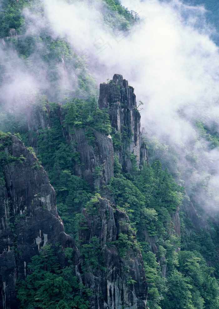 绿树山水 128