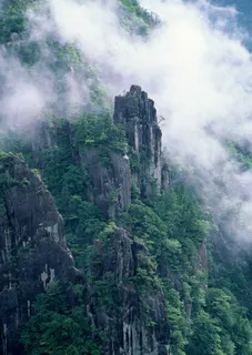 绿树山水 128 绿树山水 128