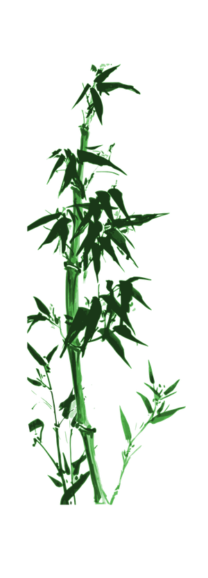 竹子水墨画中国风国画墨水书法竹子画