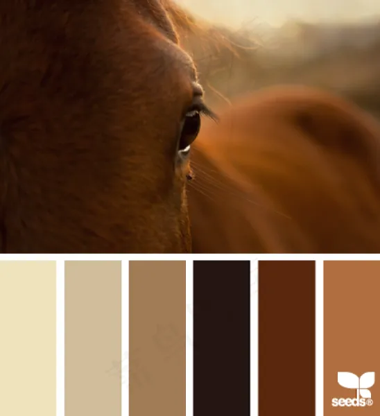 动物配色色卡色彩搭配