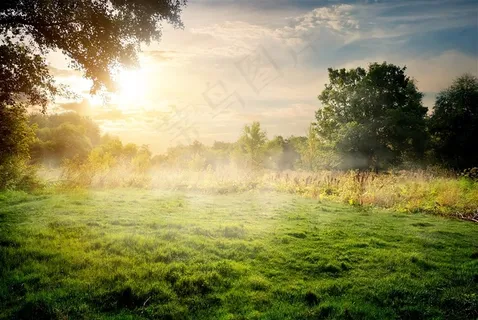 唯美的草地景色高清摄影图片 唯美的草地景色高清摄影图片