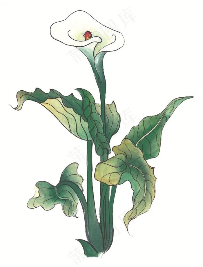 写意花卉美图jpg素材