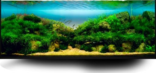 水族馆 PNG免抠